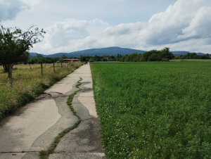 Asphaltierter Weg, der an einer Wiese entlangführt