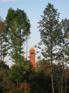 Kirchenturm zwischen hohen Bäumen