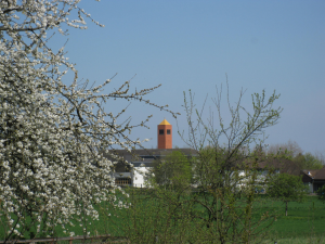 Blick auf den Kirchturm der katholischen Kirche St. Marien, im Vordergrund blühende Bäume.
