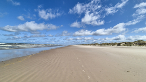 Strand in Dänemark