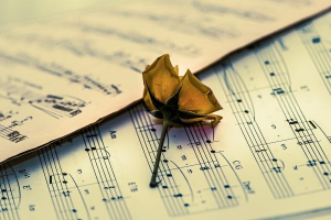 Getrocknete Rose auf Notenblatt