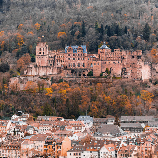 Bild der Veranstaltung