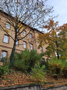durch Bäume hindurch sieht man die Mopskaserne in Wiesbaden